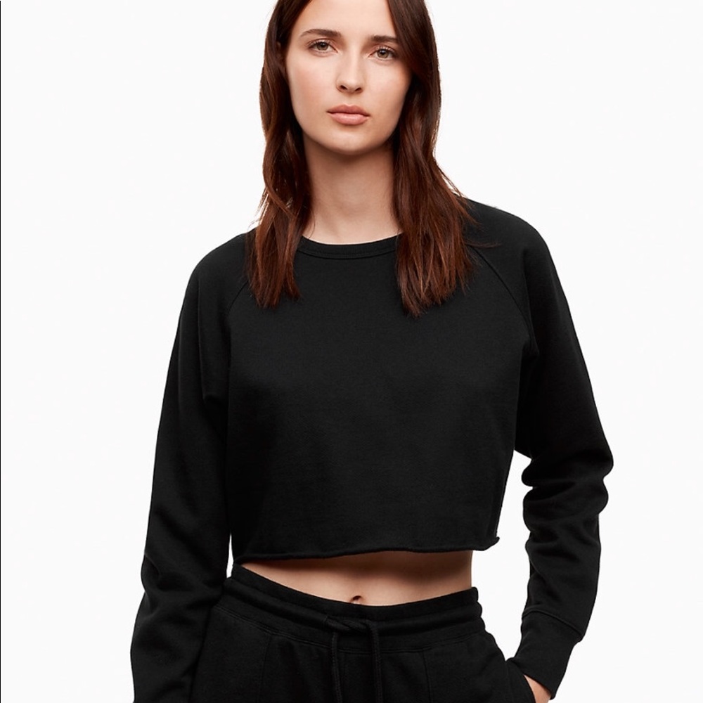 Aritzia Cropped Sweatshirt - Wilfred Free Robson